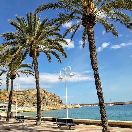 Mi Nietas Javea
